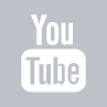 Google +