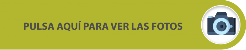 Ver imágenes